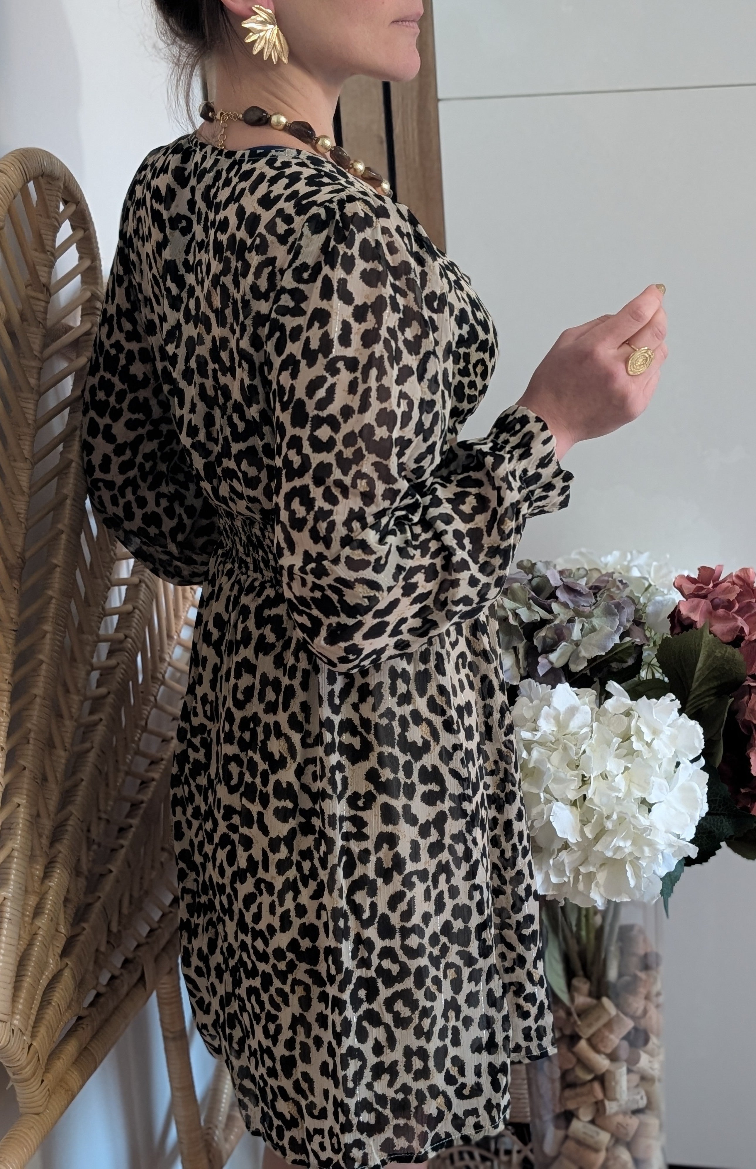 Robe Louisy