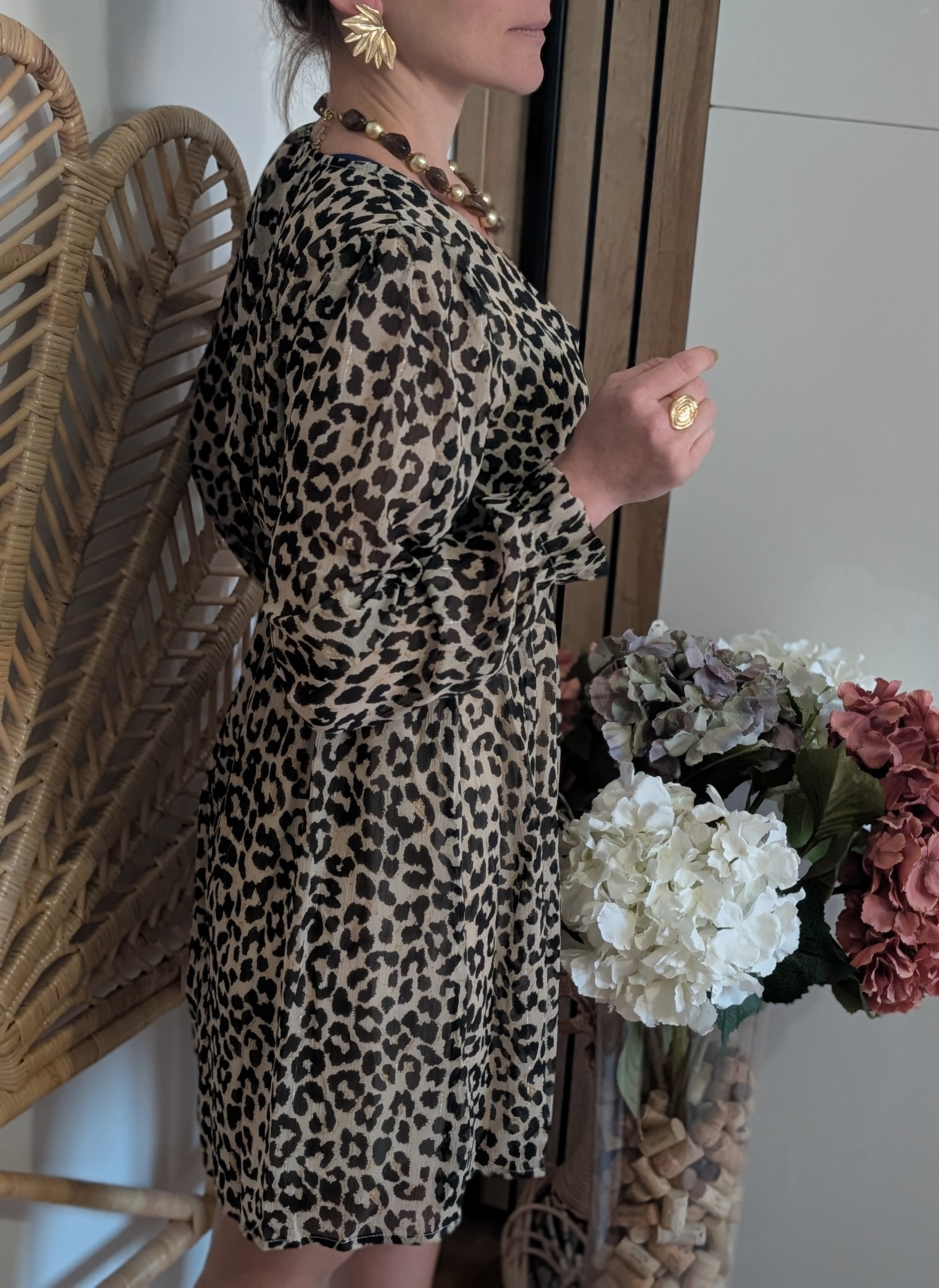 Robe Louisy