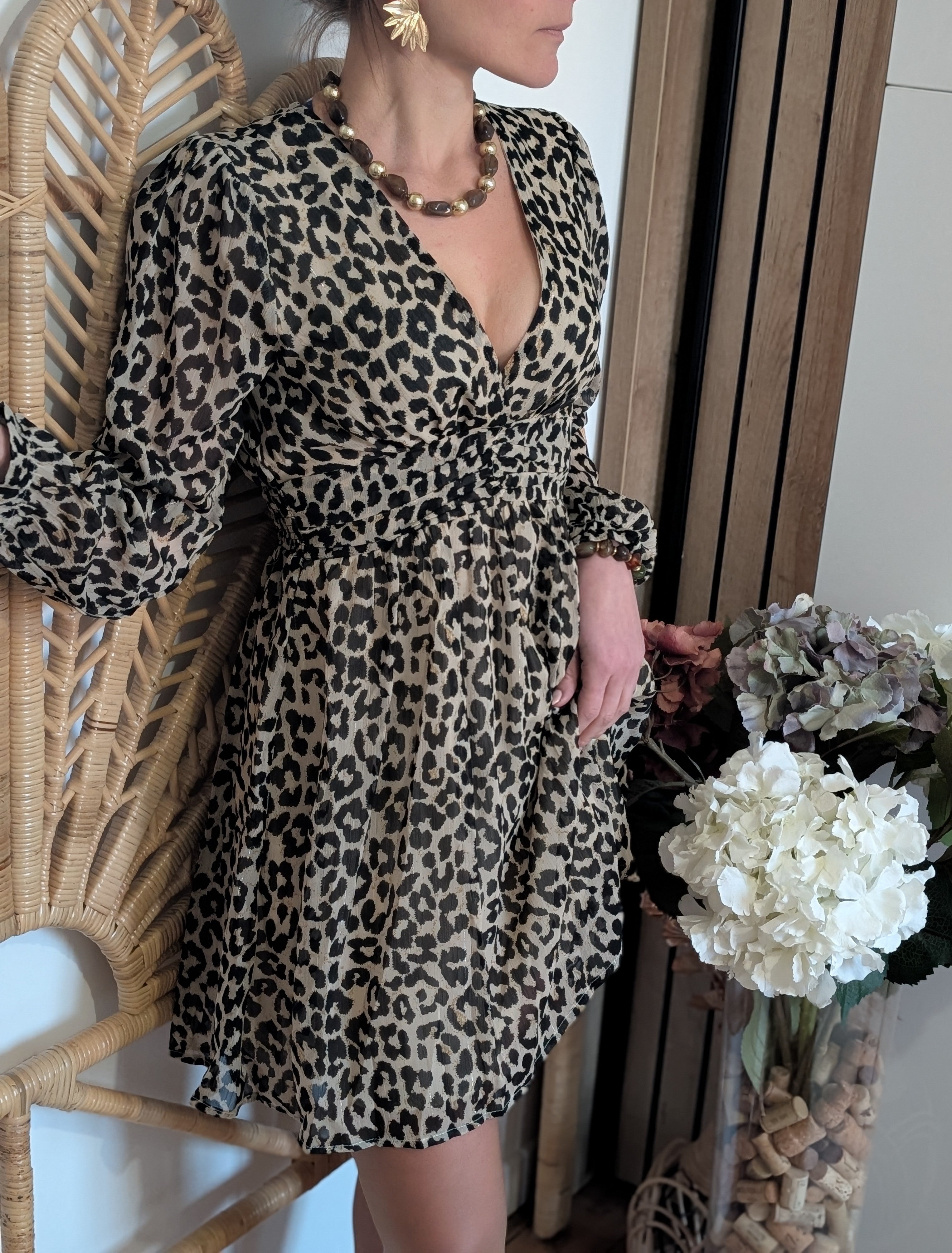 Robe Louisy